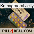 Kamagraoral Jelly new06